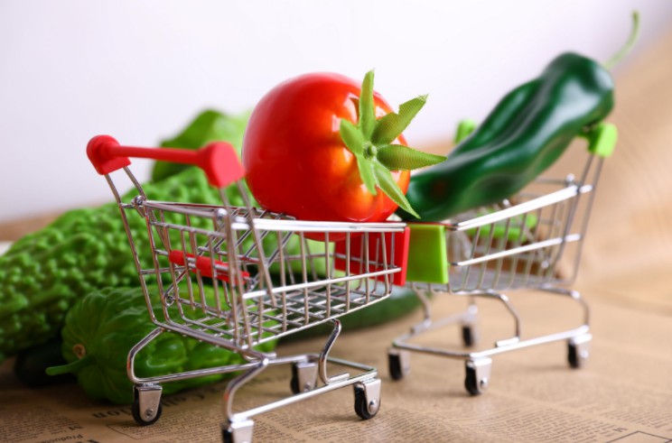 農村移動支付市場供需結構分析