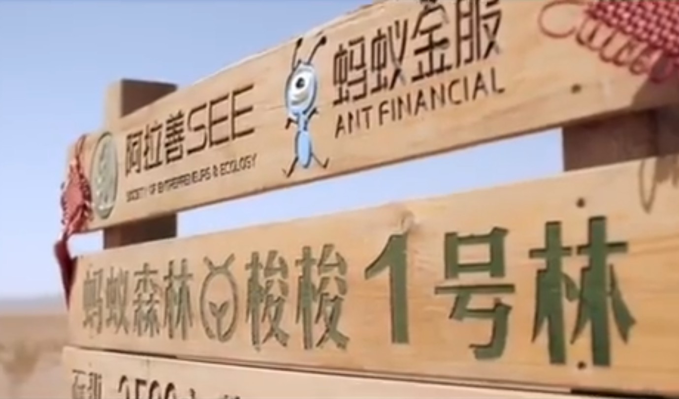 支付宝蚂蚁森林获联合国2019年“地球卫士奖”