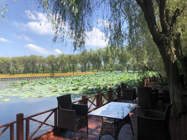 G60科創走廊鄉村旅遊聯盟成立暨2018上海松江荷花節7月20日開幕